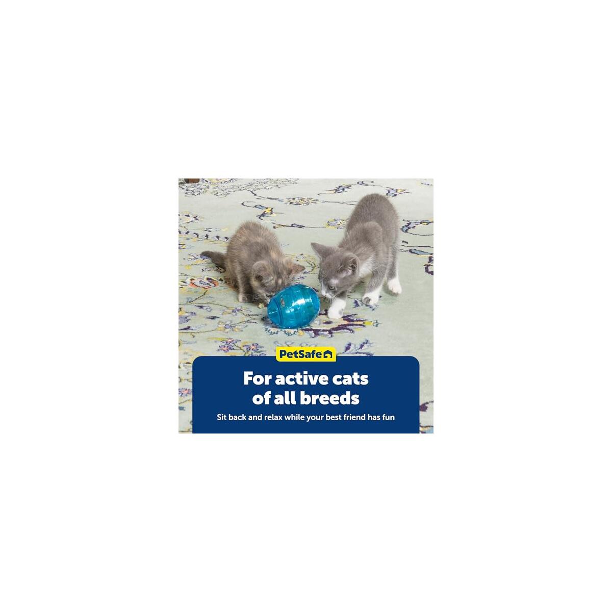 Petsafe Funkitty Egg Cersizer Promo Codes - RebateKey