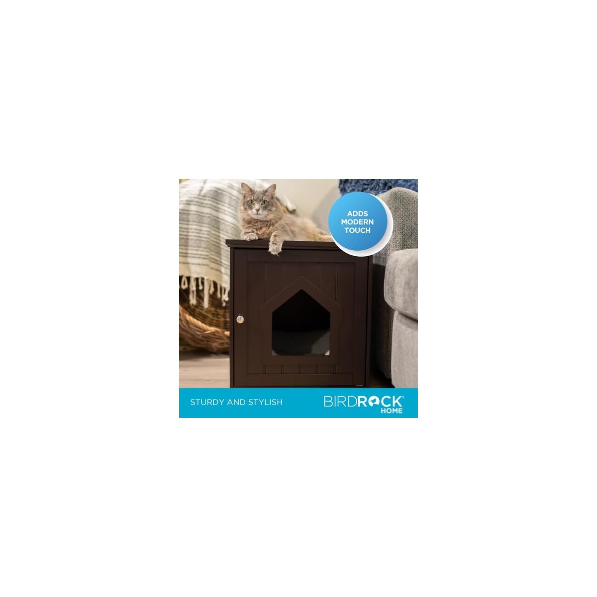 Internets Best Decorative Cat Promo Codes - RebateKey