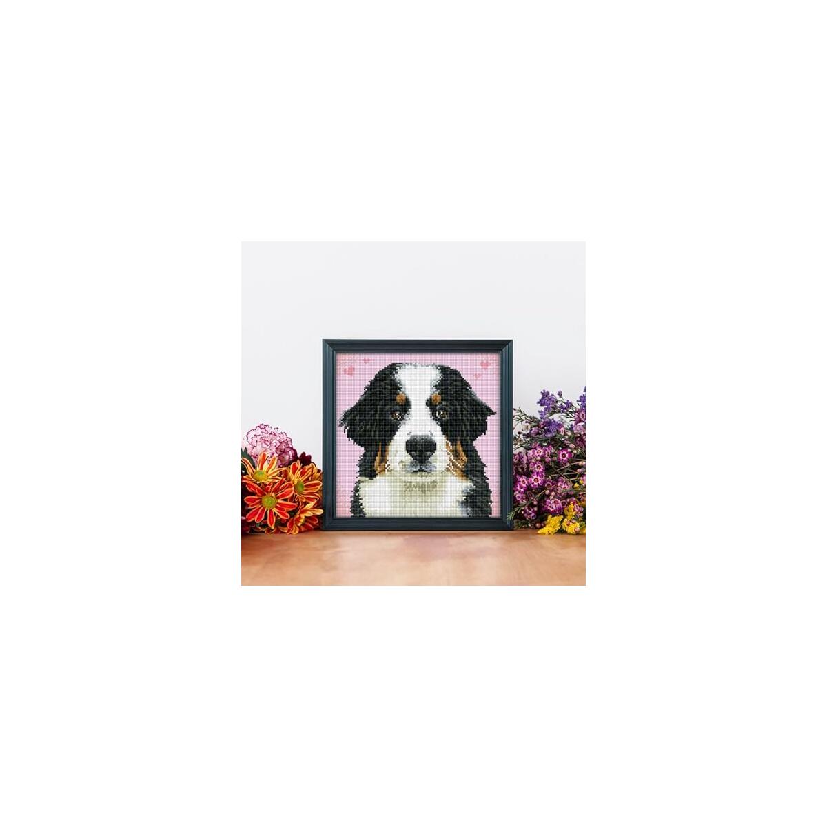 Diamond Dotz Say Hello Deal - RebateKey