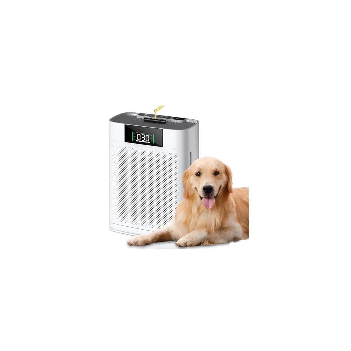 Air Purifier For Large Room Deals - RebateKey