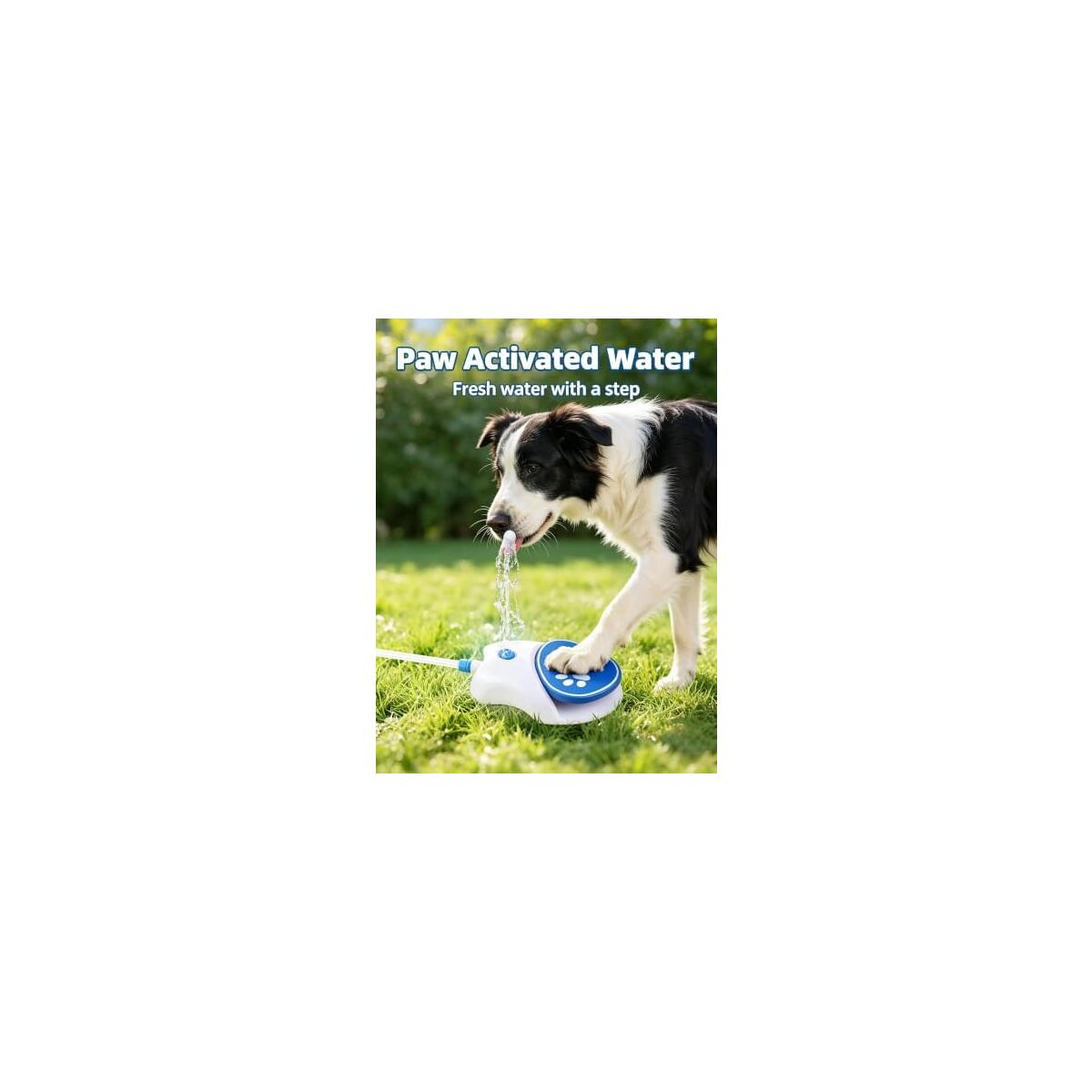 Dog Water Fountain Promo Codes - RebateKey