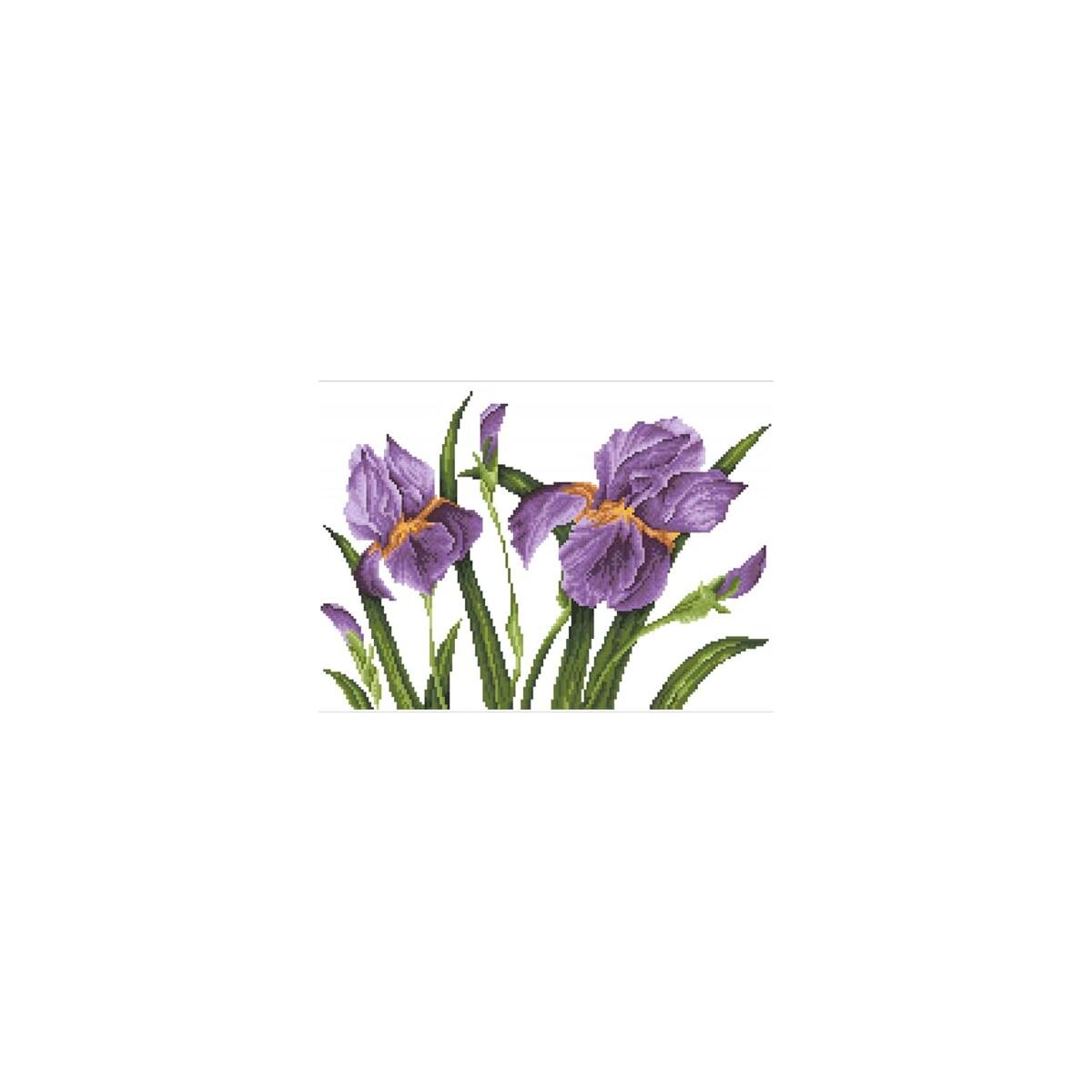 Diamond Dotz Iris Sunset Deals - RebateKey