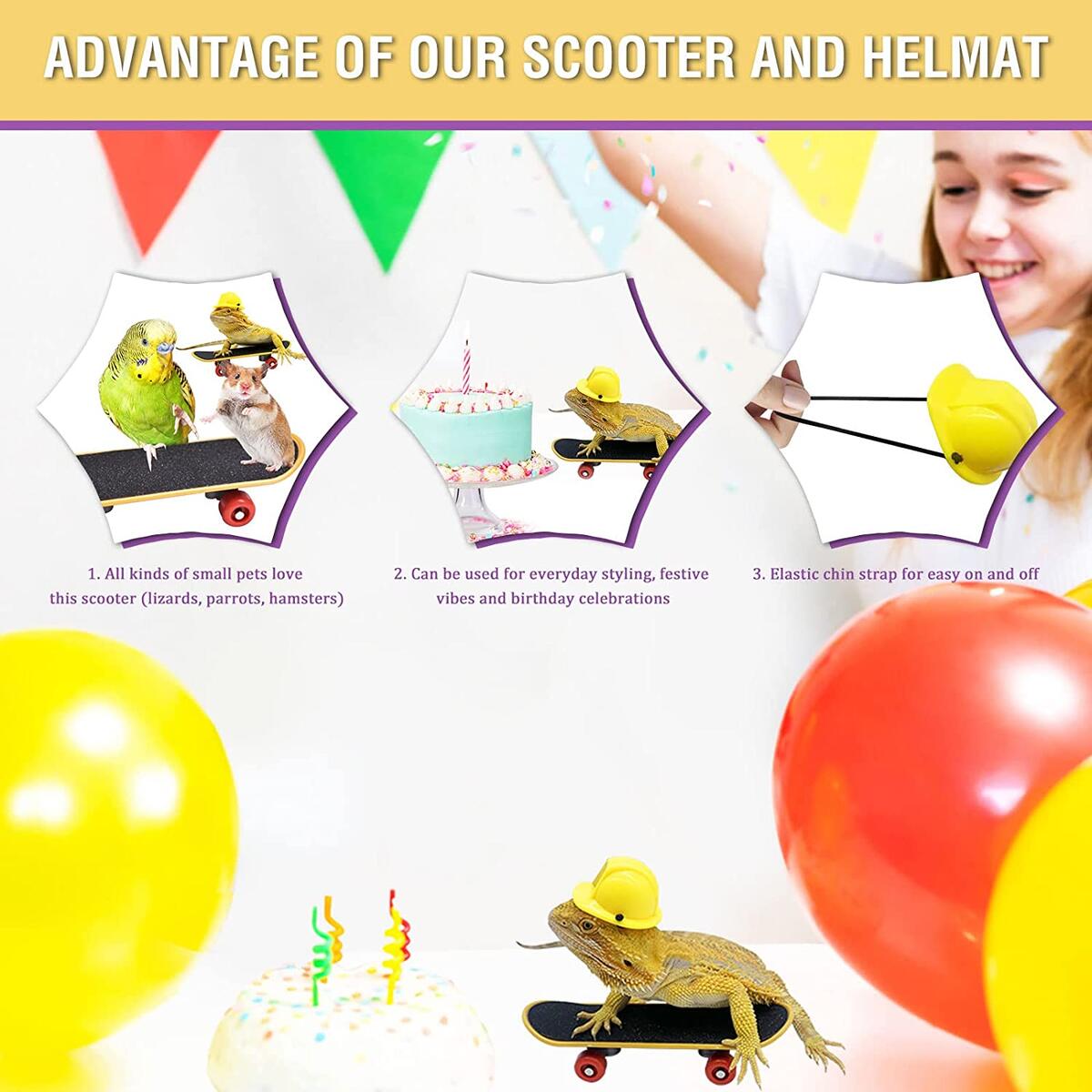 Bearded Dragon Carrier Deal - RebateKey