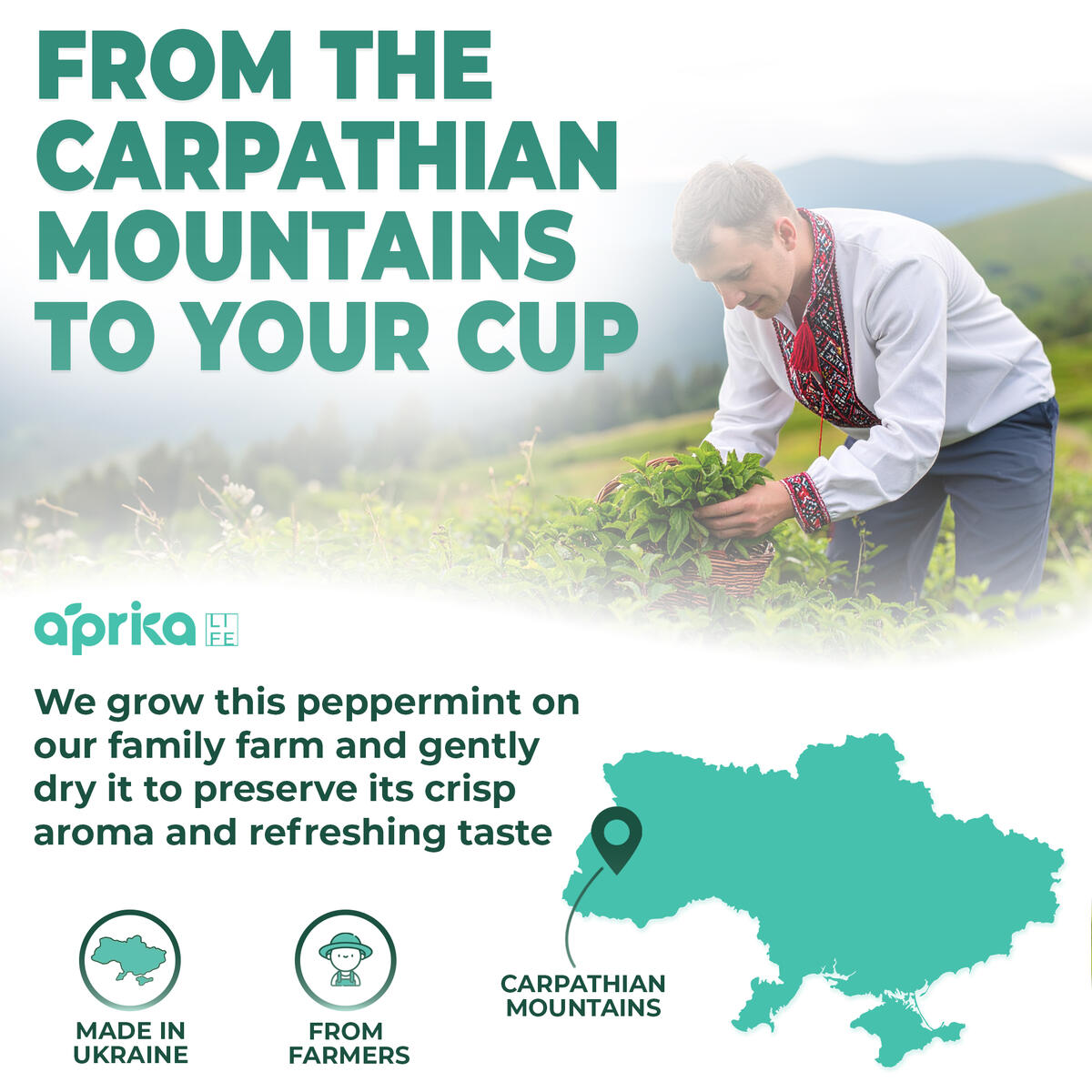 Peppermint Herbal Tea Deals - RebateKey