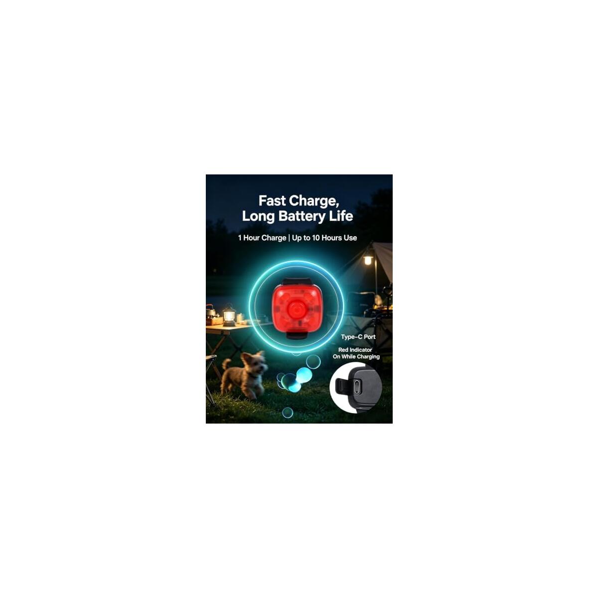Rechargeable Led Dog Promo Code - RebateKey