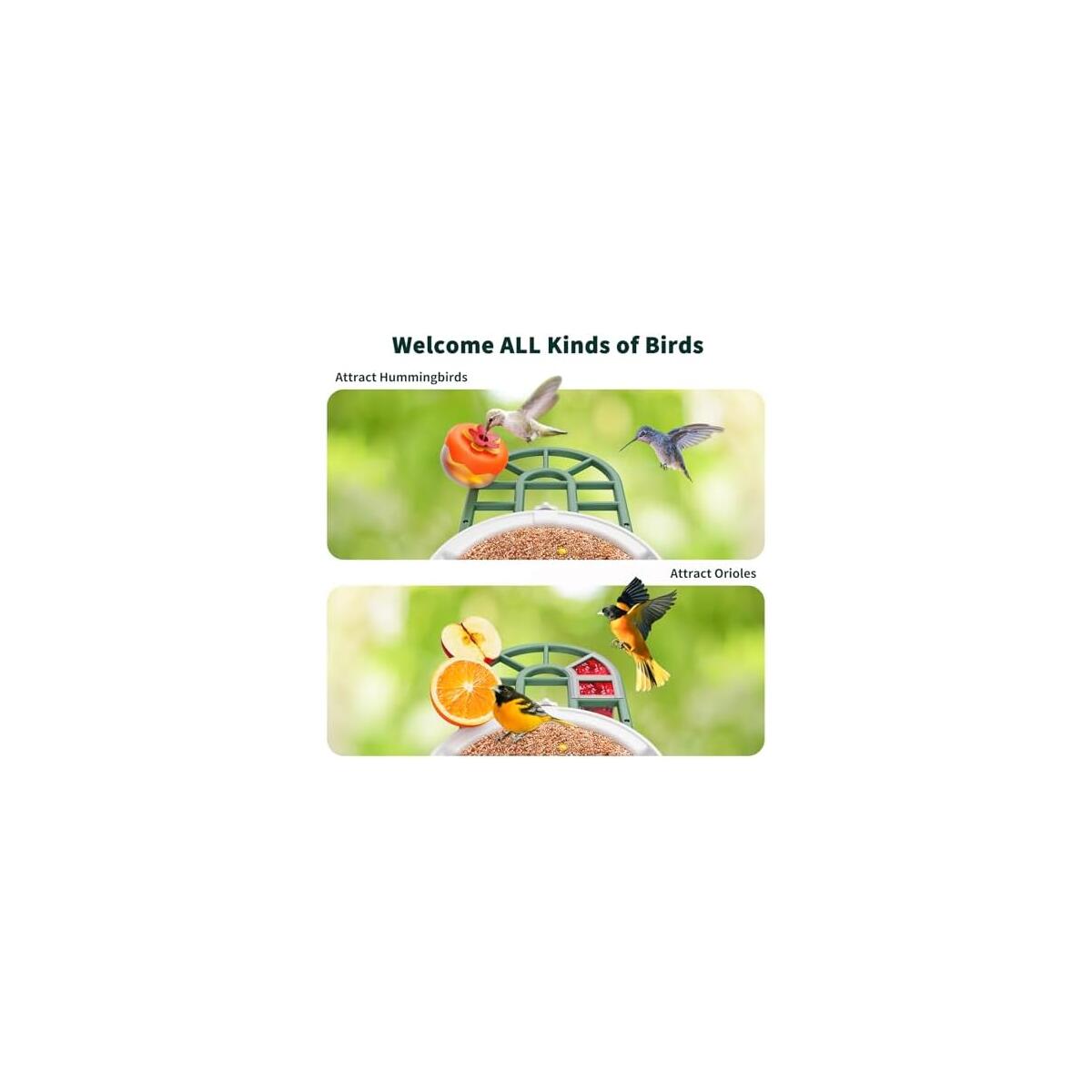 Harymor Bird Feeder With Deal - RebateKey