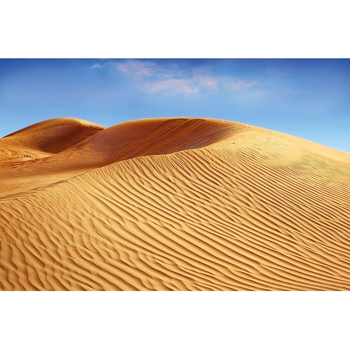 Poster Desert Dunes Picture Promo Codes - RebateKey