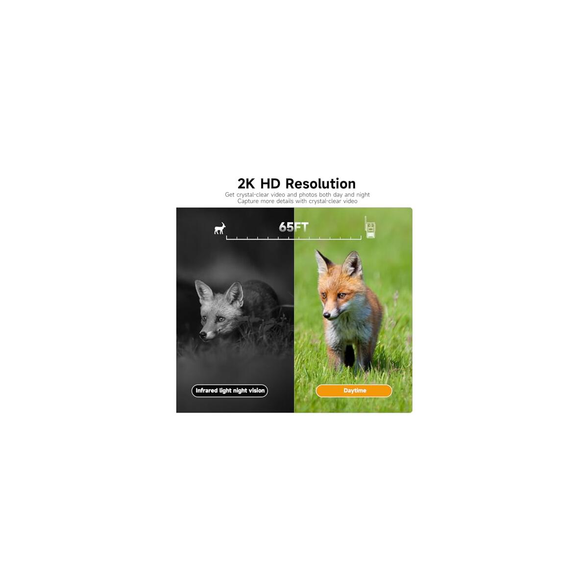 Trail Camera Unlimited Data Plan 2 Coupon - RebateKey