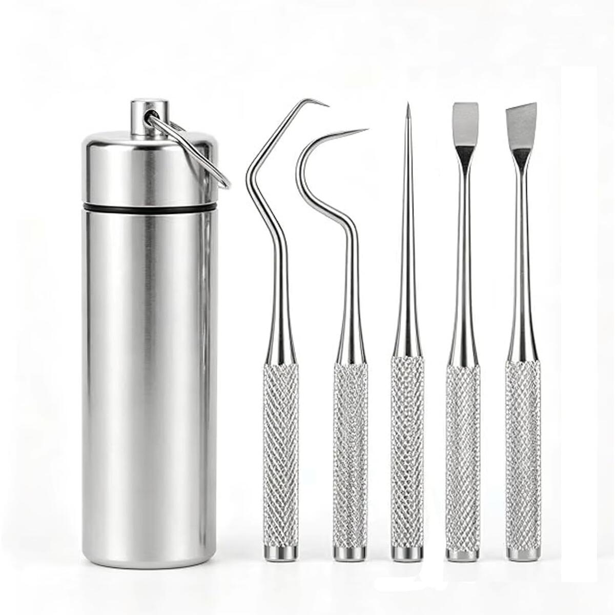304 Stainless Steel Toothpick Set 5-Piece with Keychain Case