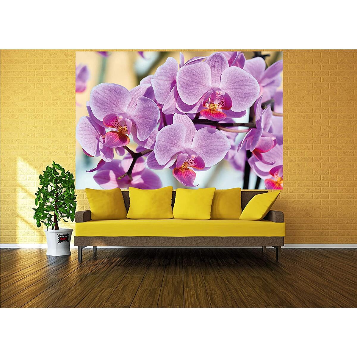 Poster Orchid Picture Decoration Promo Codes - RebateKey