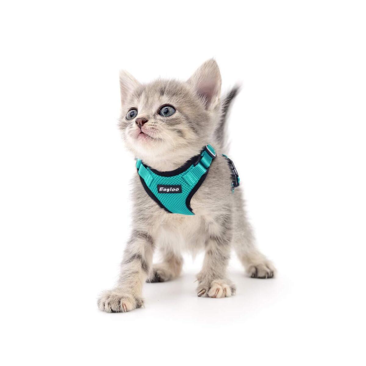Adjustable Cat Harness With Coupons - RebateKey