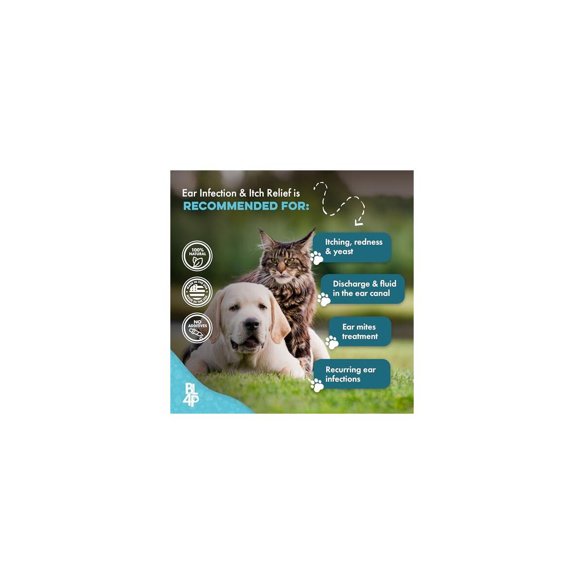 Itch Relief And Ear Coupons - RebateKey