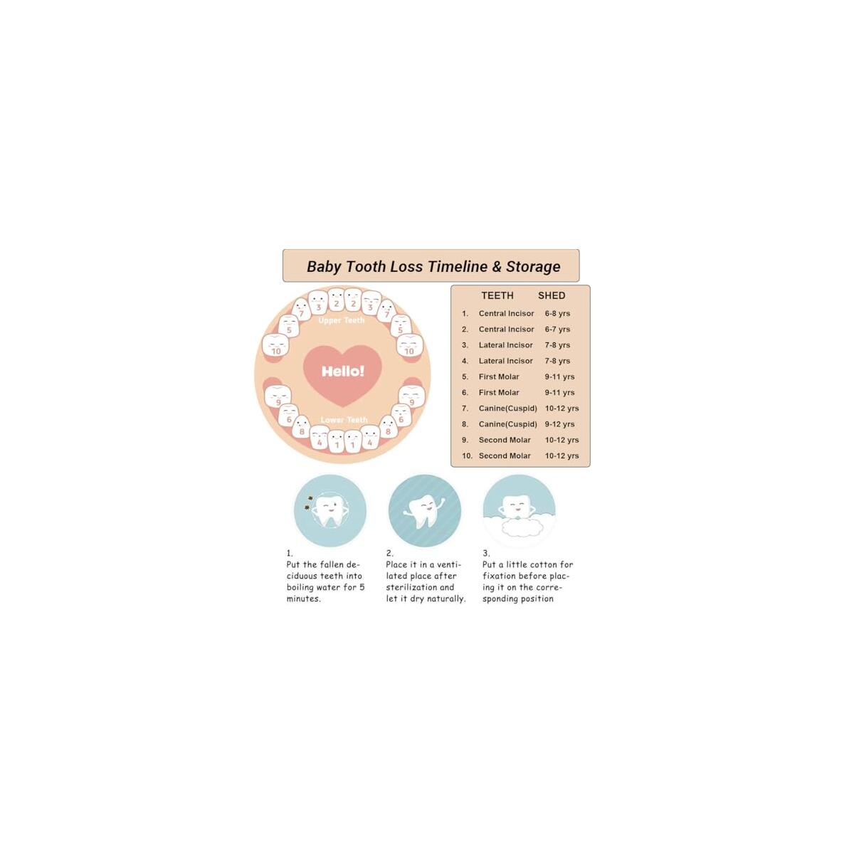 Tooth Fairy Tooth Holder Deal - RebateKey