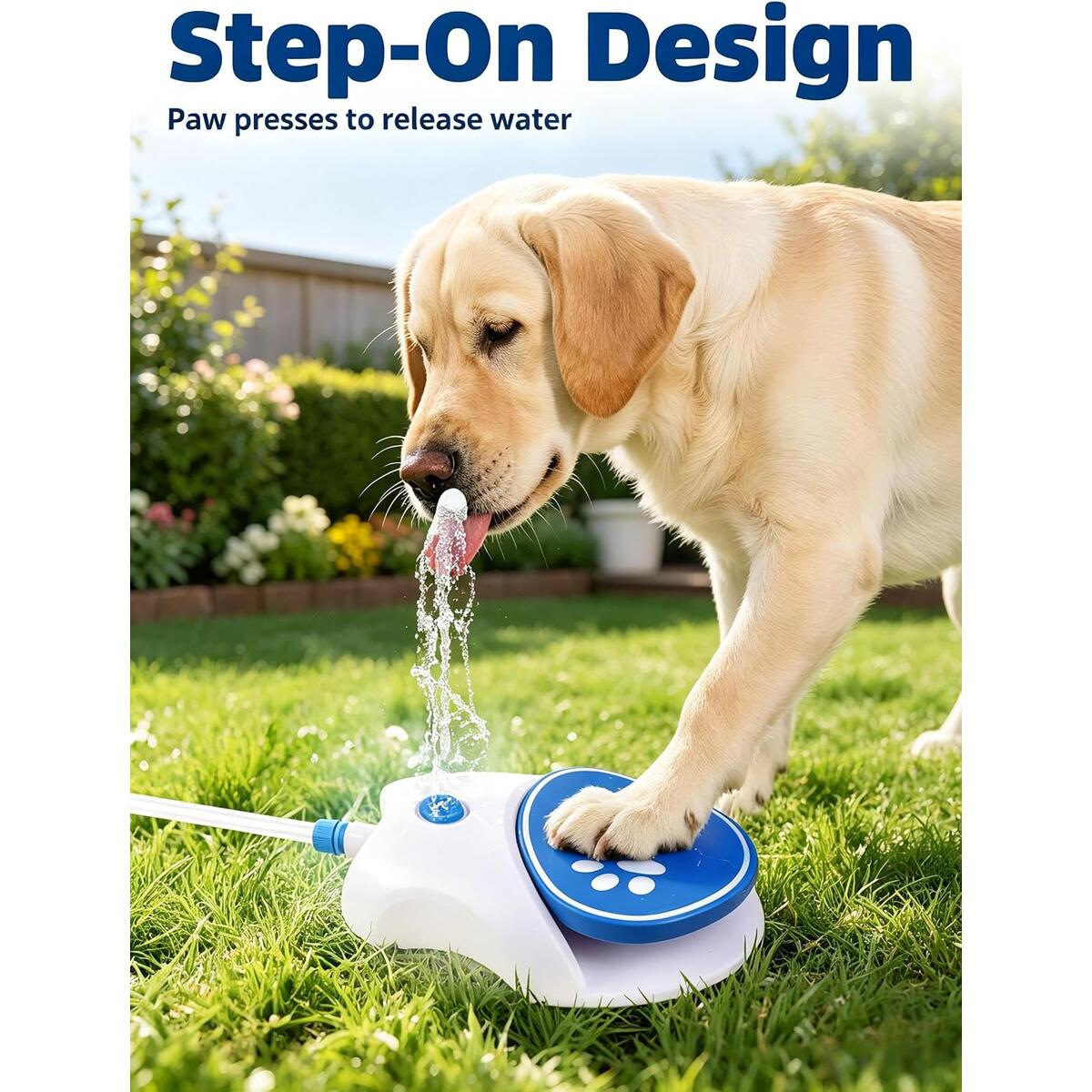 Dog Water Fountain 1 Promo Code - RebateKey