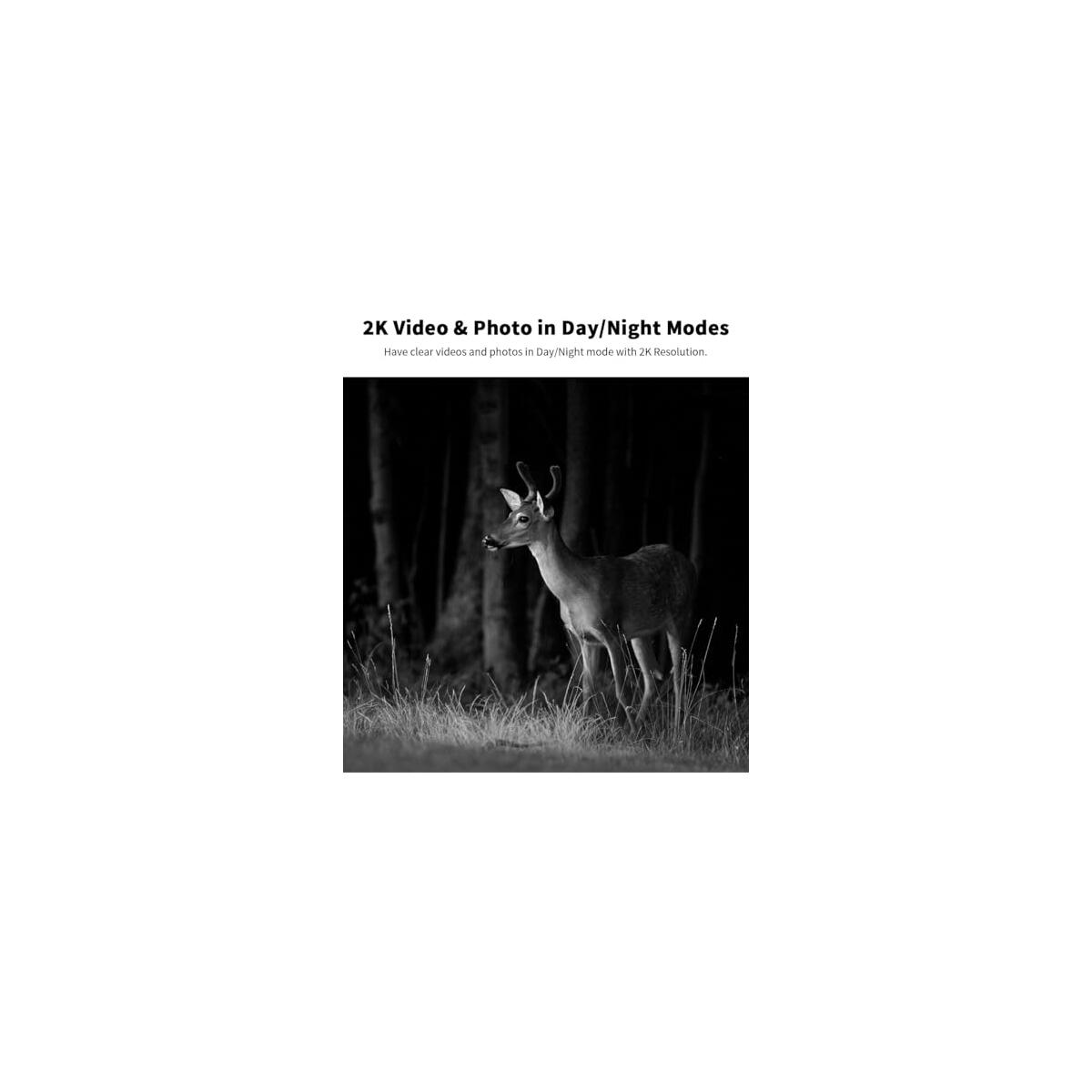 Cellular Trail Cameras 4 Promo Codes - RebateKey