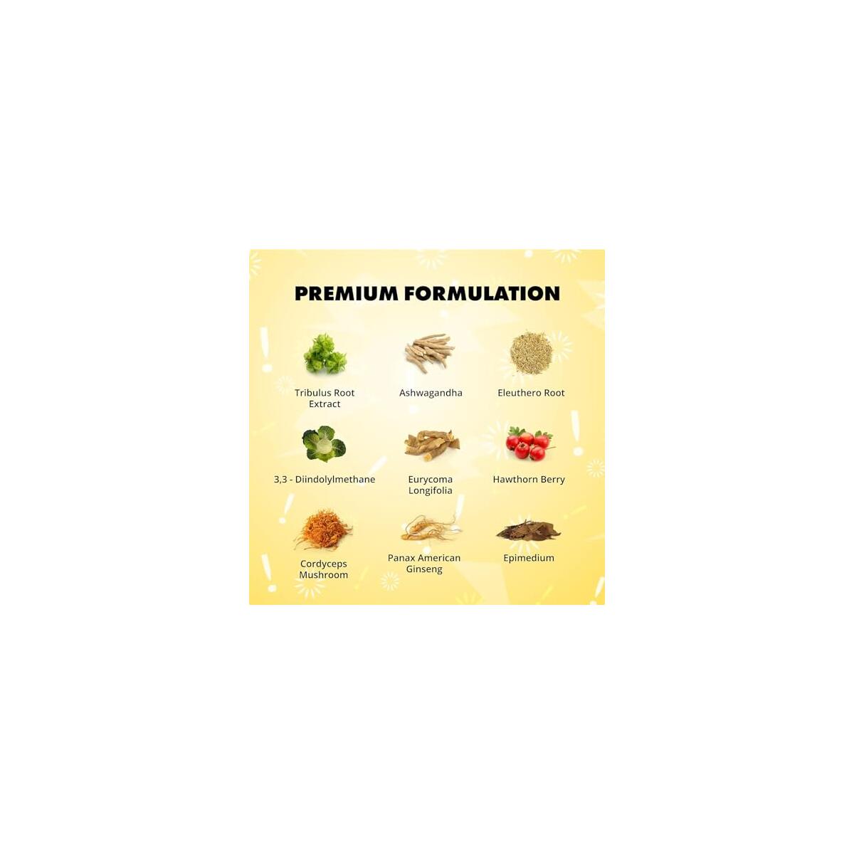 Sculpt Nation By V Coupon - RebateKey