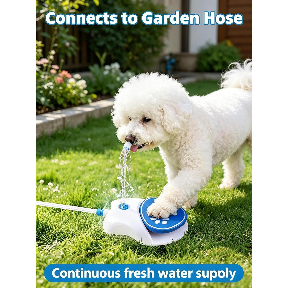 Dog Water Fountain 1 Promo Code - RebateKey