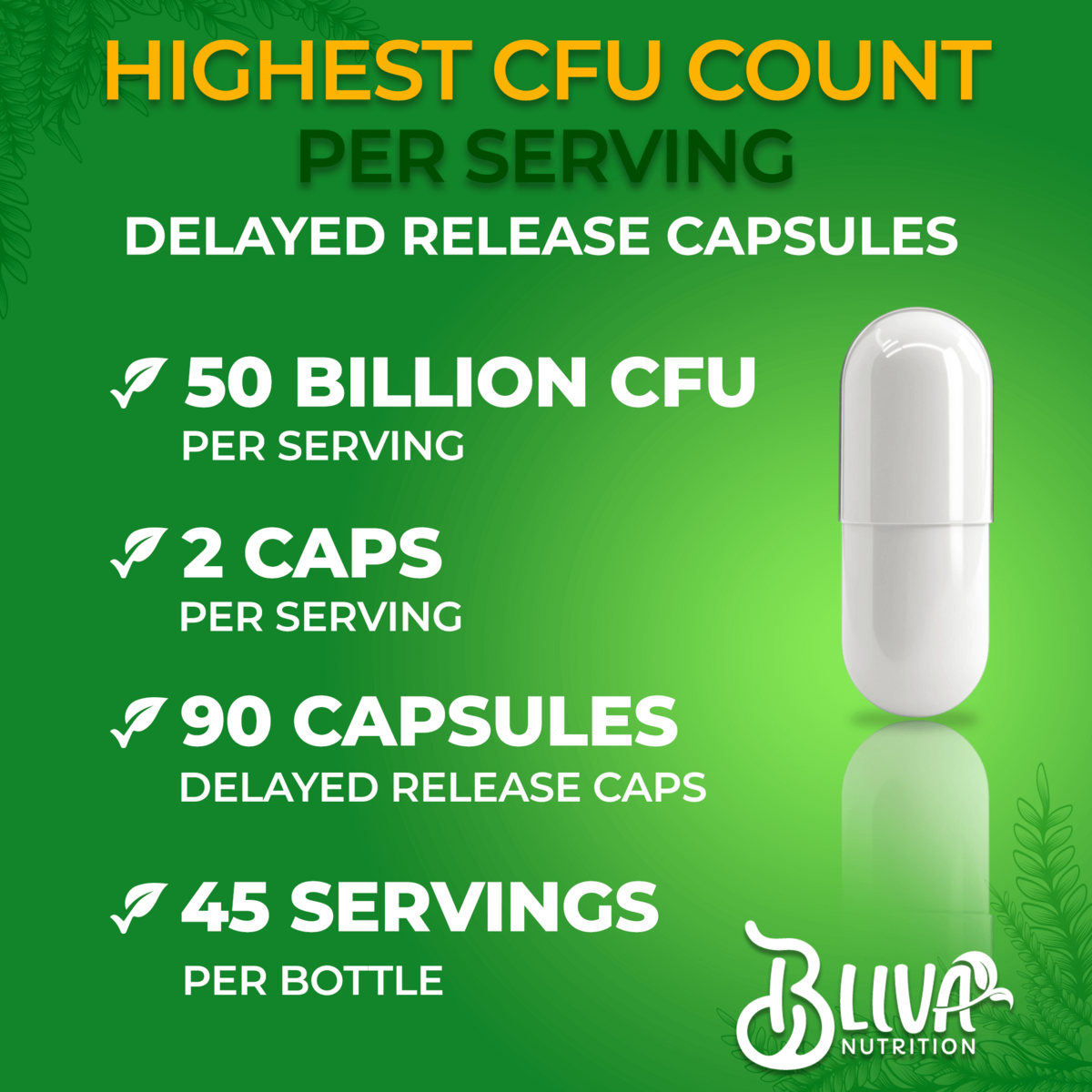 Lactobacillus Reuteri Probiotic Capsules 1 Rebates - RebateKey