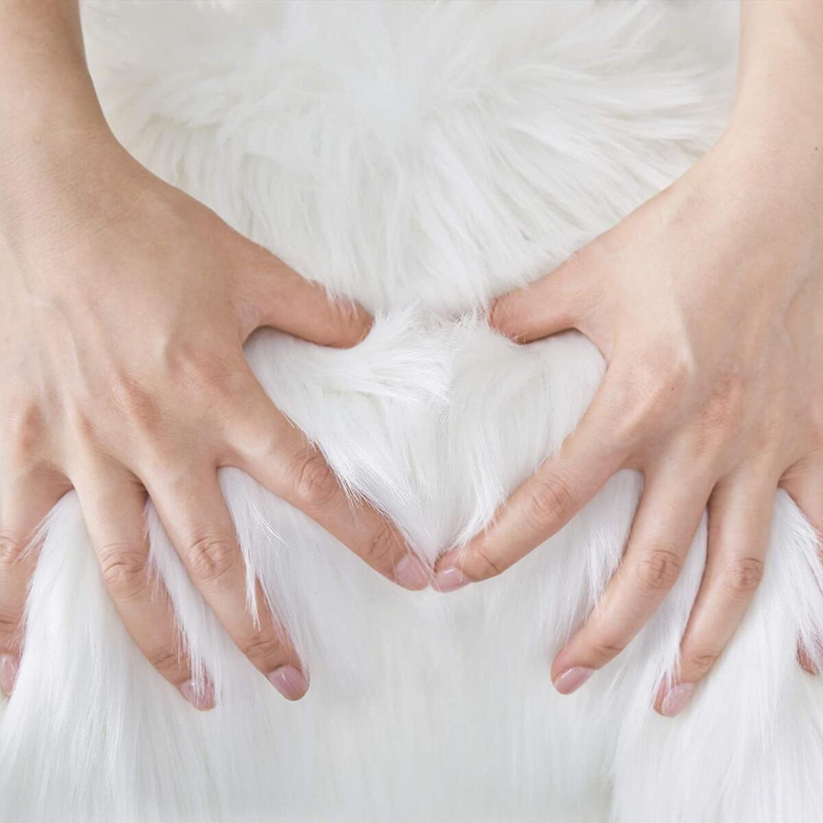 Small Furry Rug Rebate - RebateKey