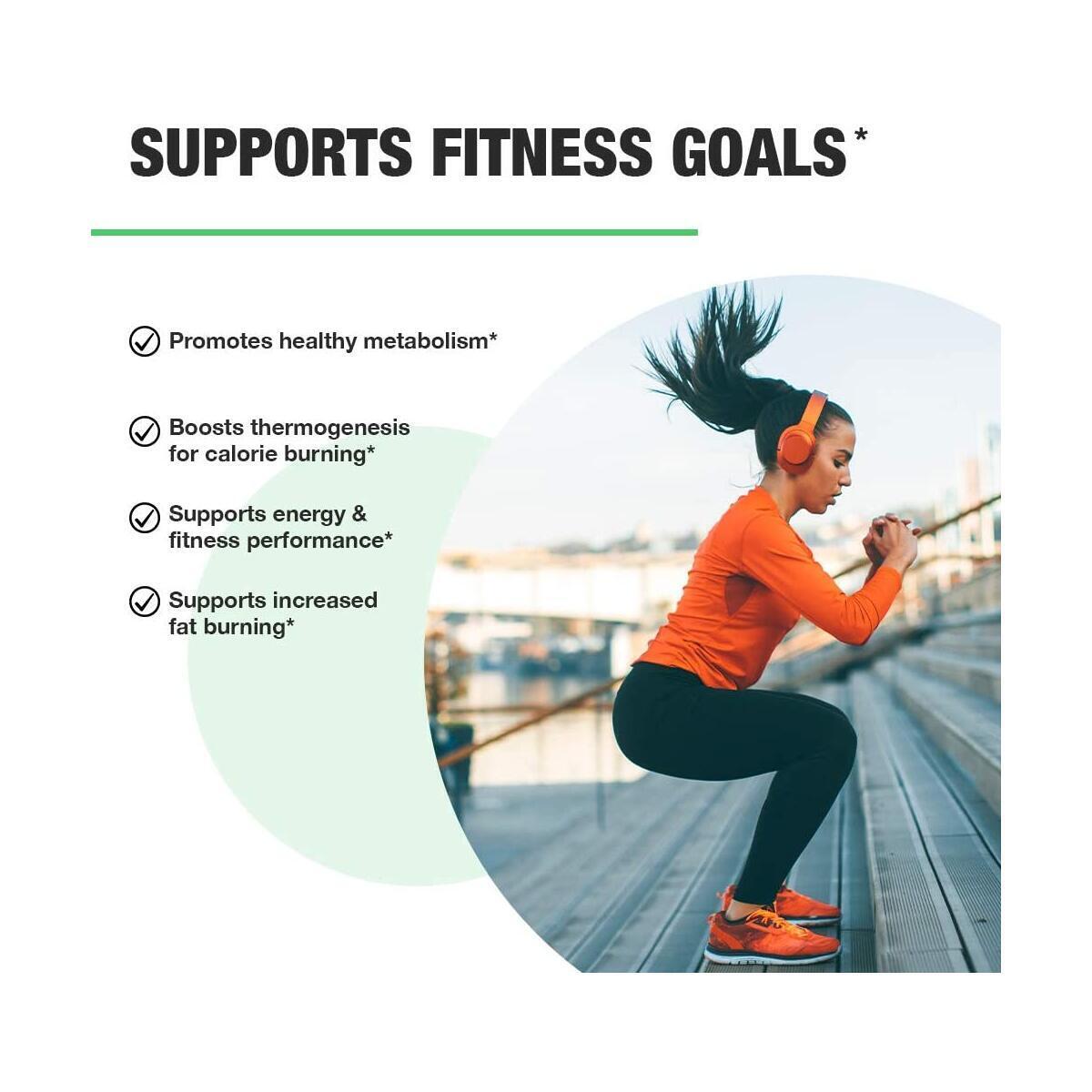 Tea Fat Burner Rebate - RebateKey