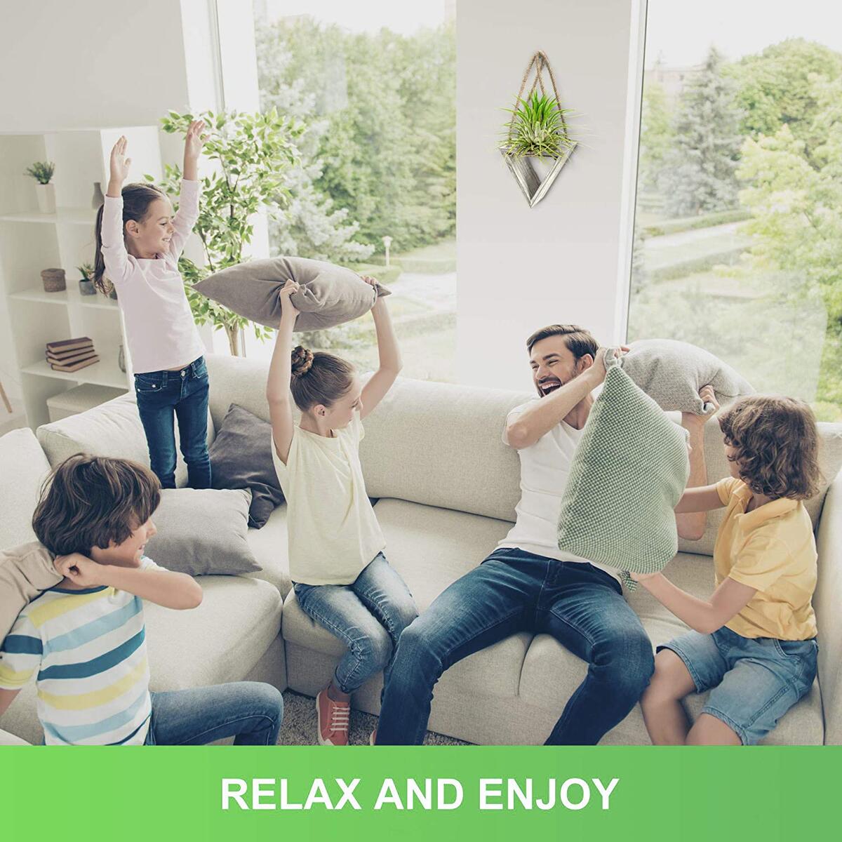 Air Plant Holder Cashback - RebateKey