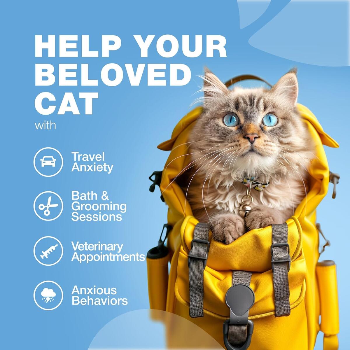 Cat Calming 1 Rebate - RebateKey