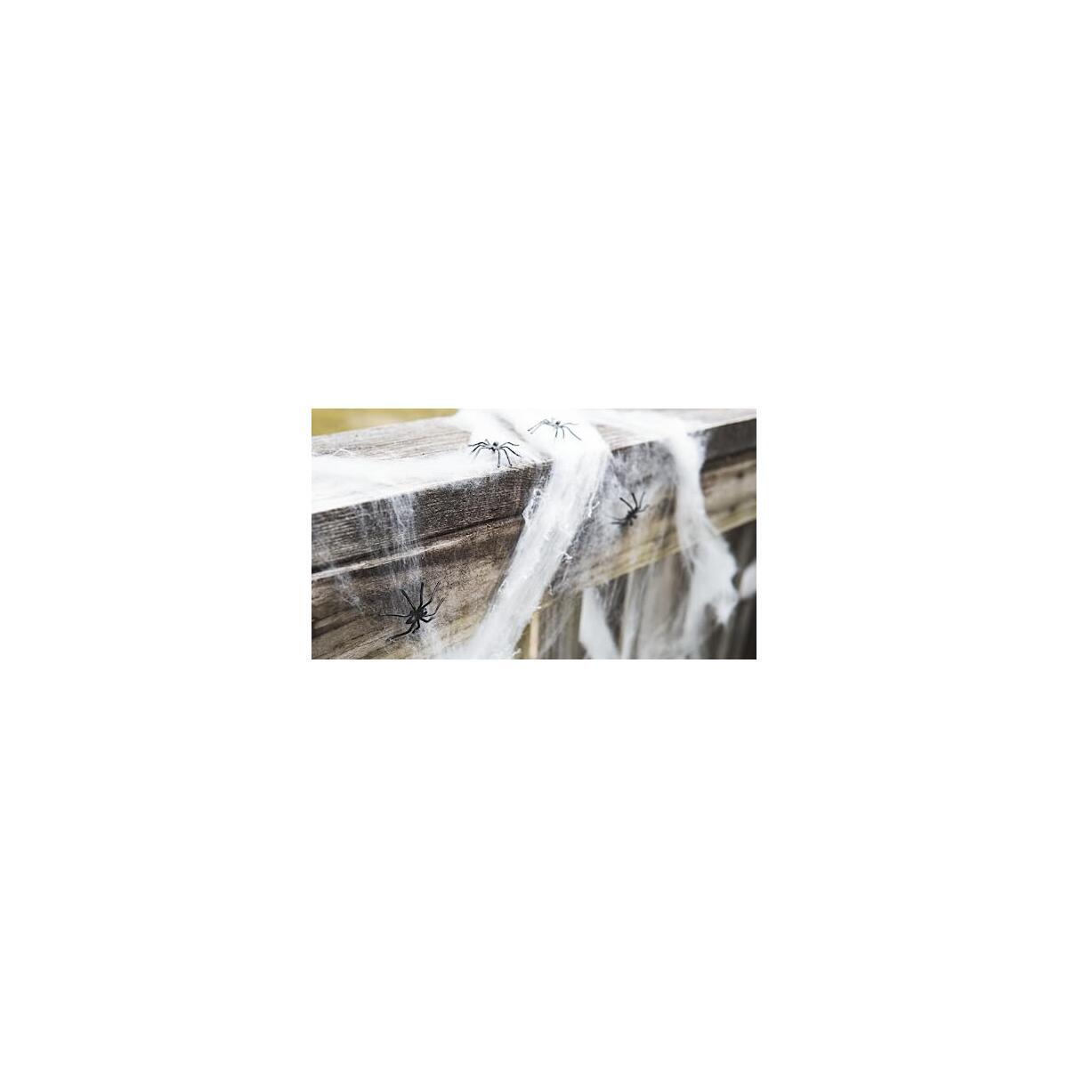 Oot Spider Web For Halloween Rebates - RebateKey