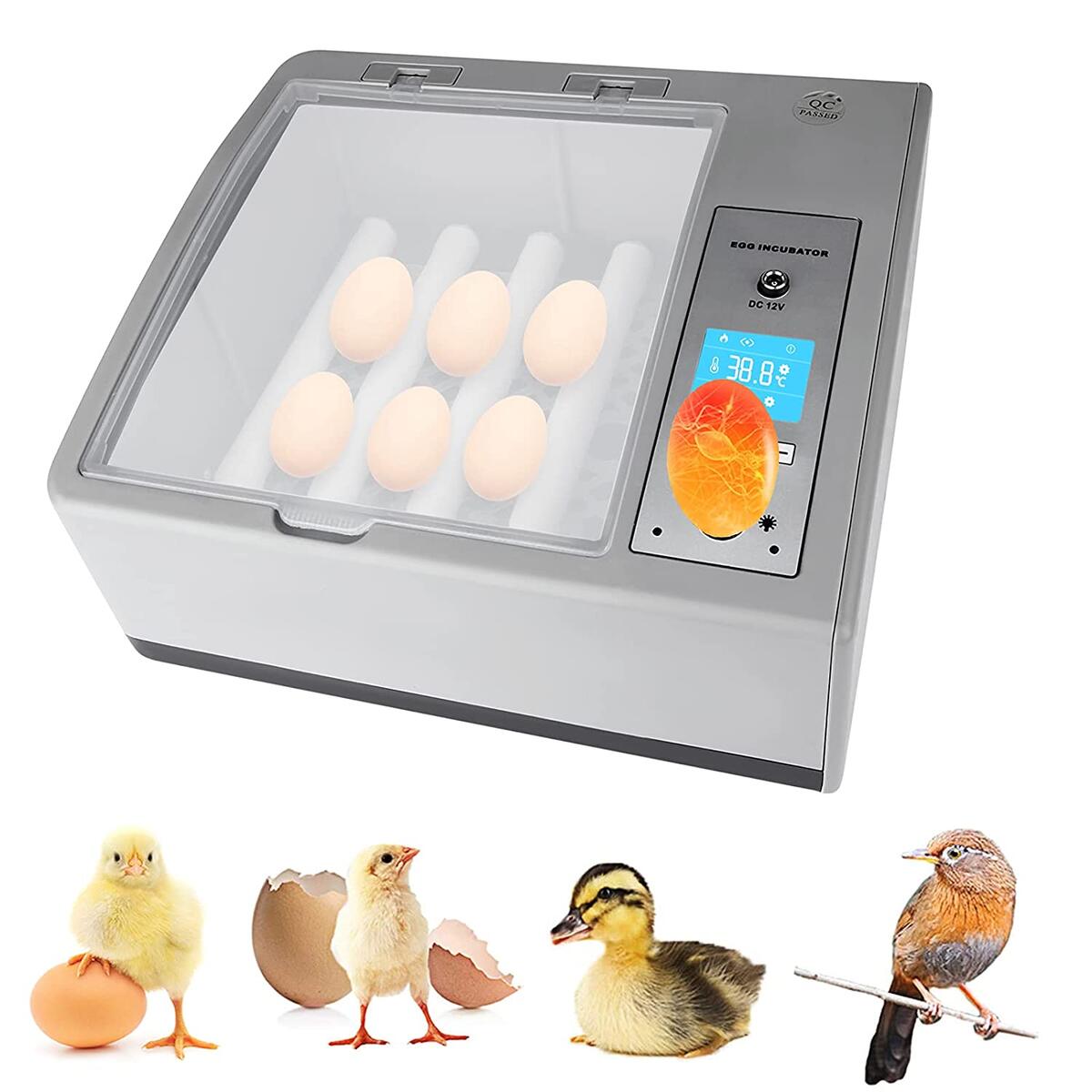 Egg Incubator Rebate - RebateKey