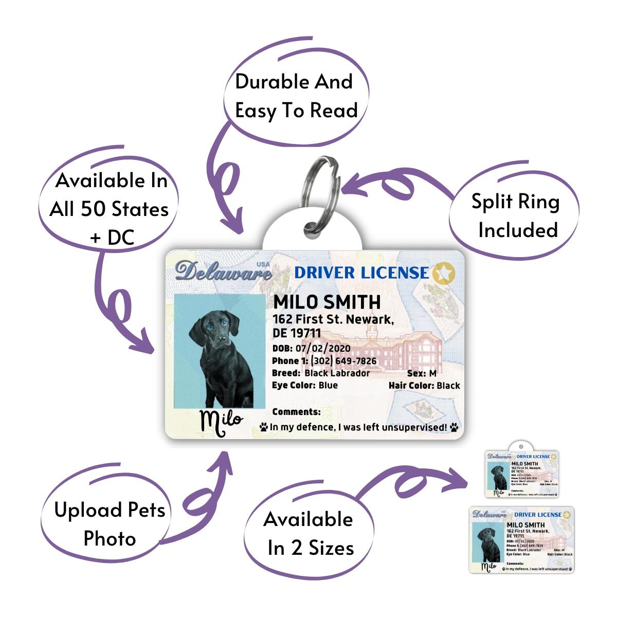 Cute License Pet Tag Rebates - RebateKey