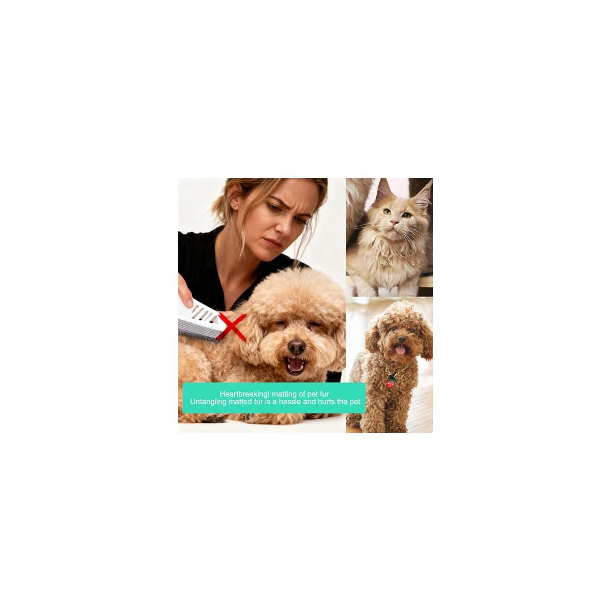 Flea Combs 1 Cashback Rebate - RebateKey