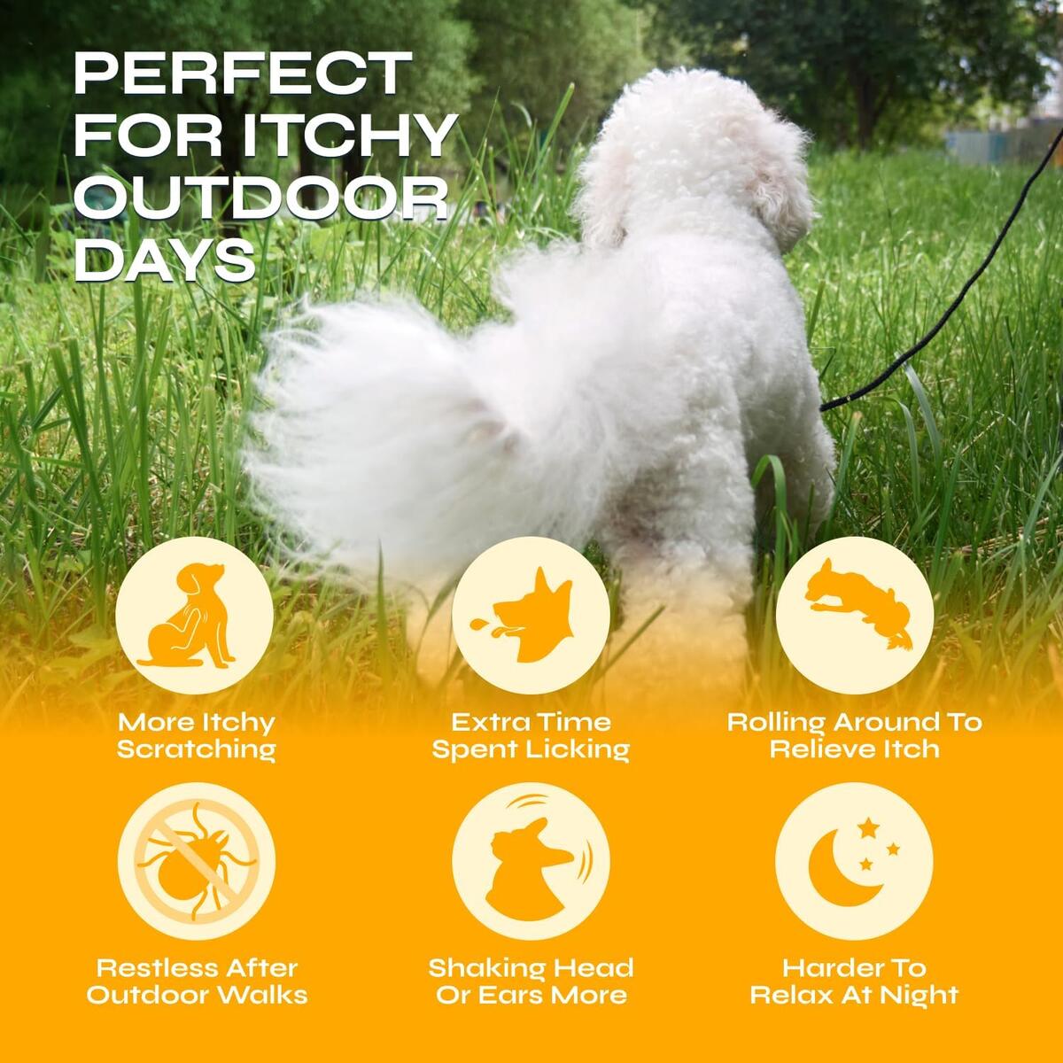 Flea Tick For Dogs Cashback Rebate - RebateKey