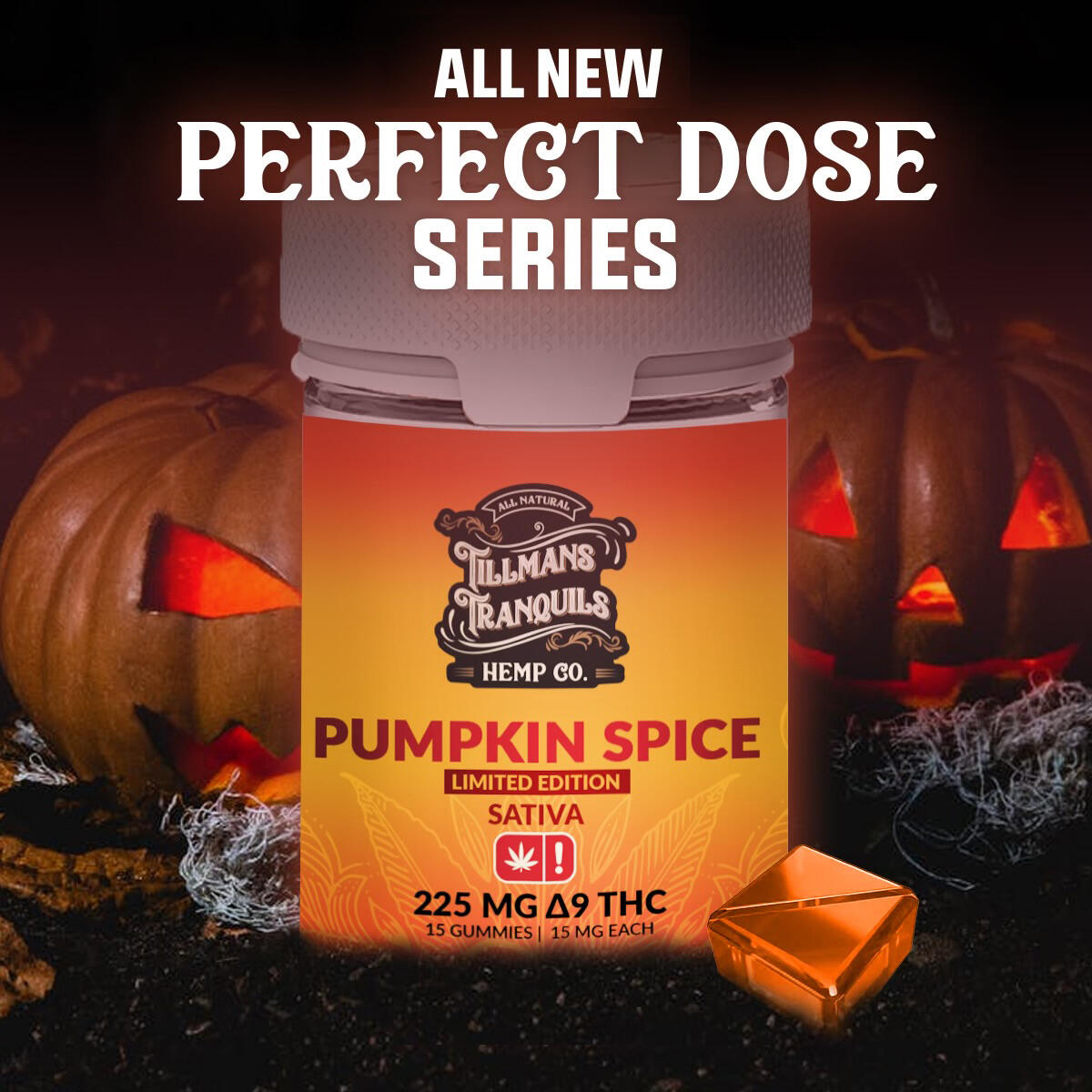 Limited Edition Pumpkin Cash Back - RebateKey