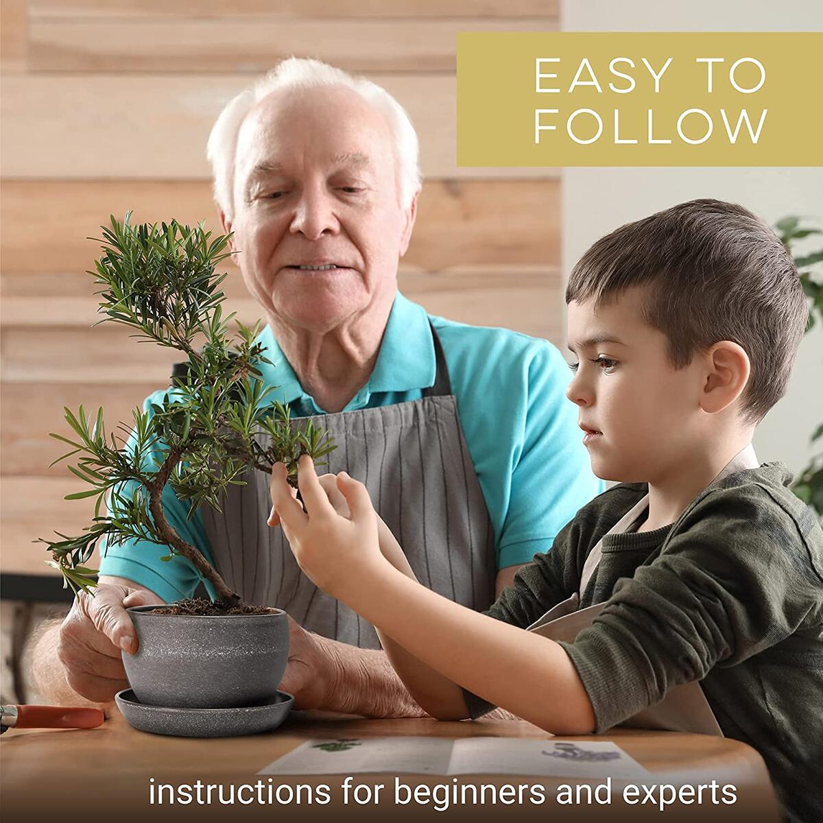 Bonsai Cashback Rebates RebateKey