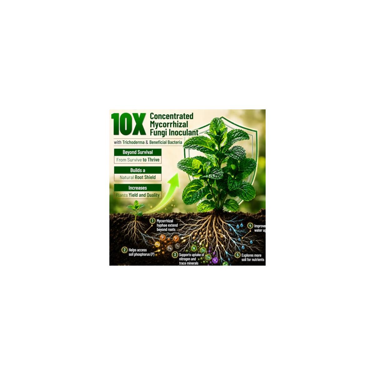 Mycorrhizal Fungi Cash Back - RebateKey