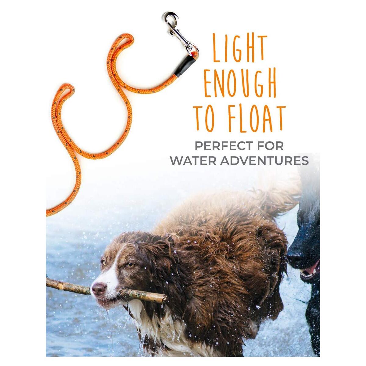 Mightypaw Check Cord Cashback Rebates - RebateKey