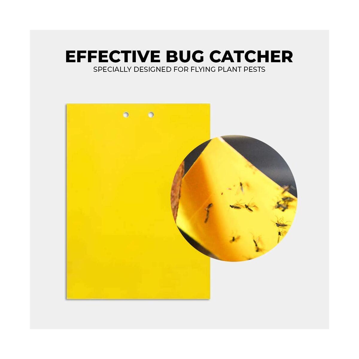 Fly Traps Cashback Rebates - RebateKey