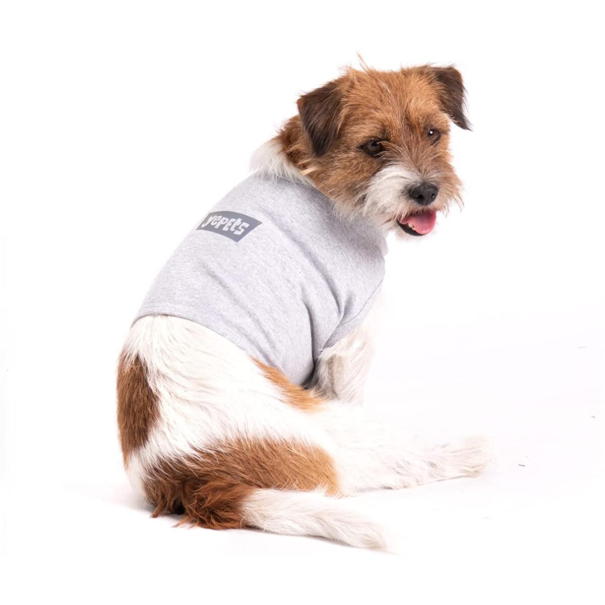 Dogs Anti Anxiety Rebates - RebateKey