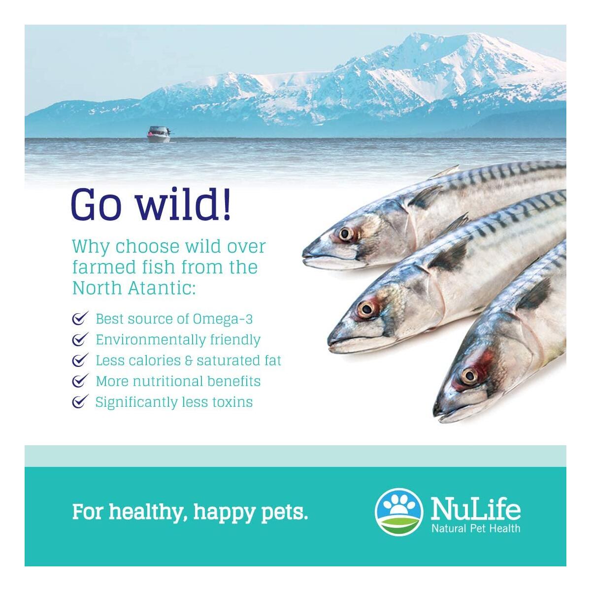 Omega 3 Fish Oil For Dogs Rebates - RebateKey