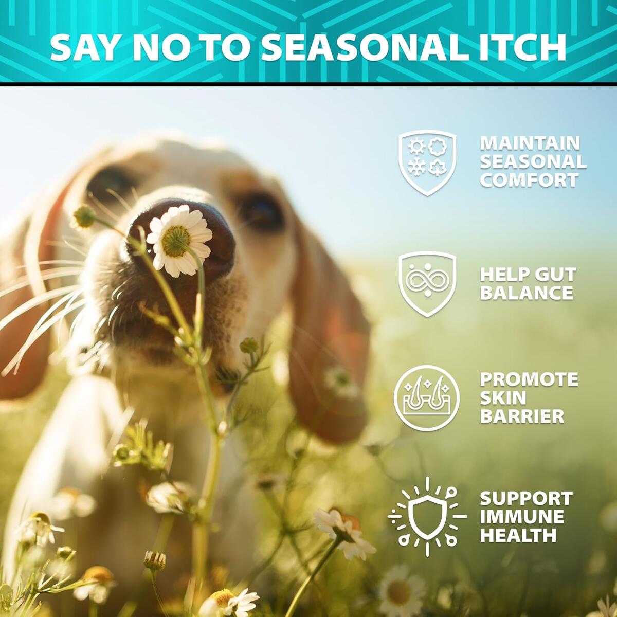 Dog Allergy Relief 28 Cashback - RebateKey