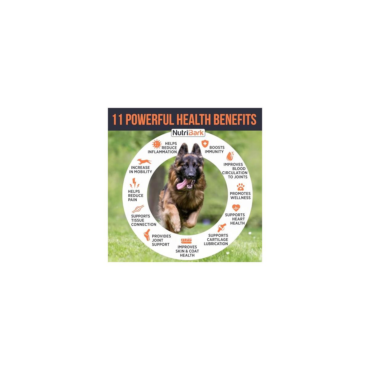 Glucosamine For Dogs 95 Cash Back - RebateKey
