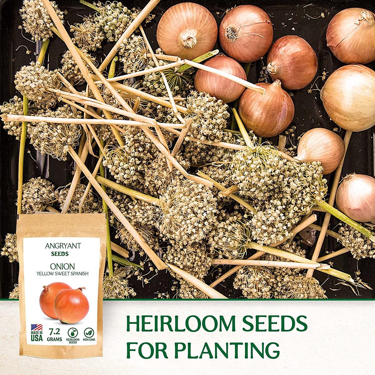 Onion Seeds Cashback Rebate - RebateKey