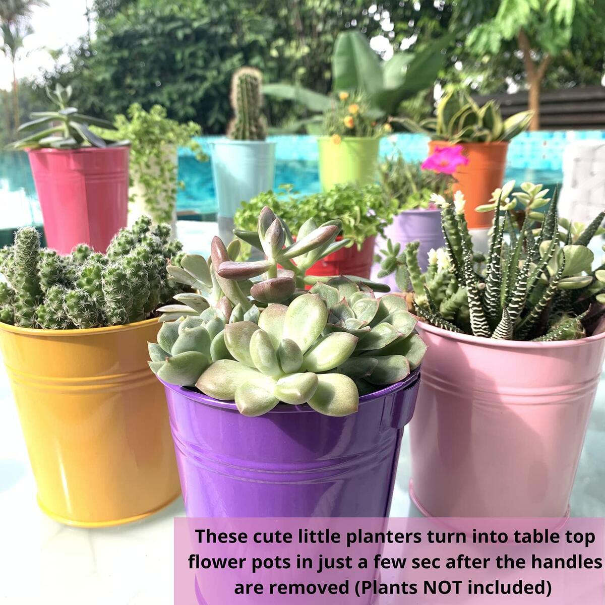 Railing Planters Outdoor Cash Back - RebateKey