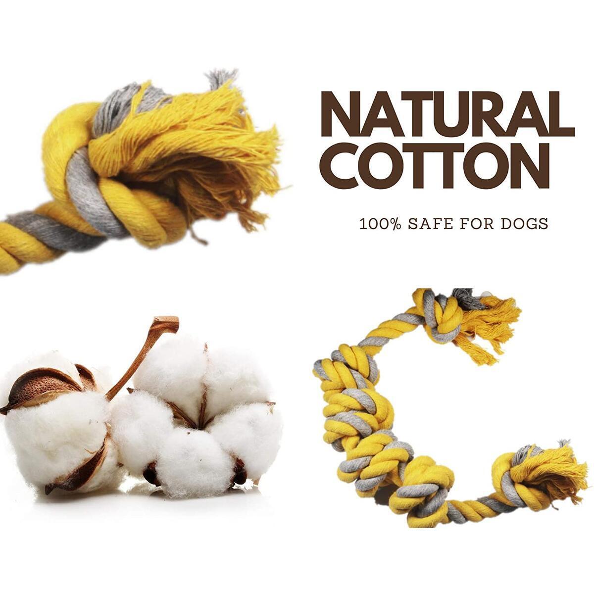 Interactive Dog Toys Cashback Rebates - RebateKey