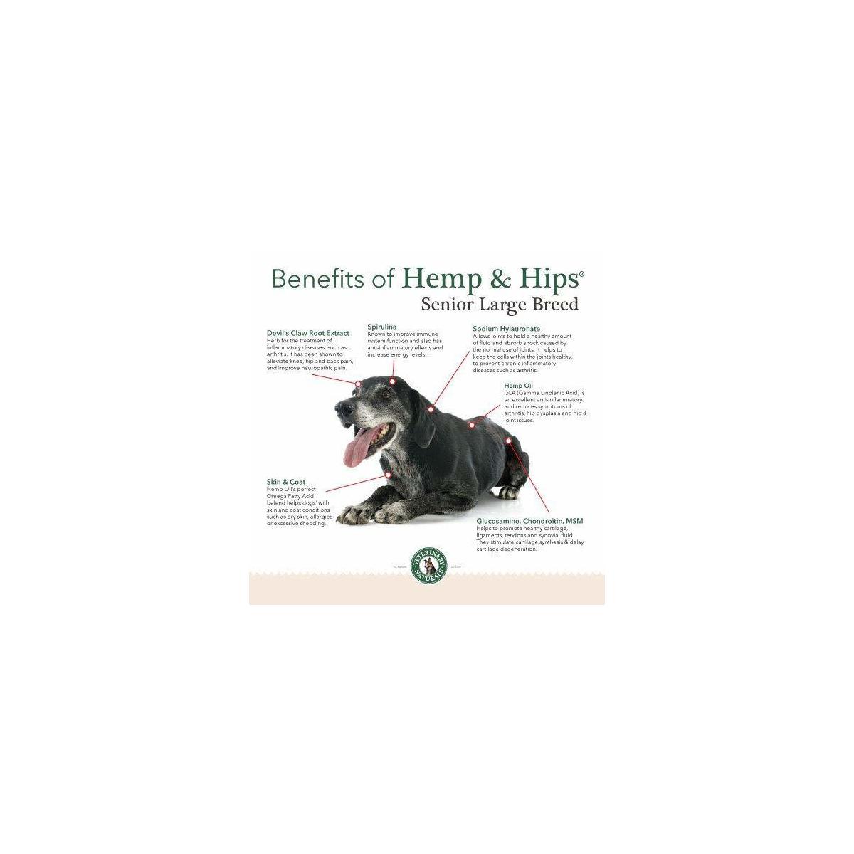 hemp and hips senior large breed