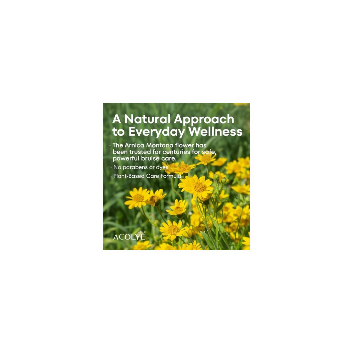 Arnica Cream For Bruising 1 Cashback Rebates - RebateKey