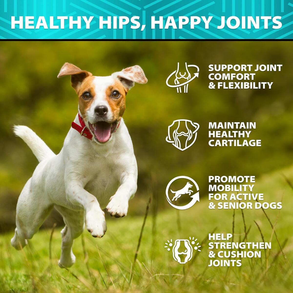 Glucosamine Chews For Dogs Cashback Rebate - RebateKey