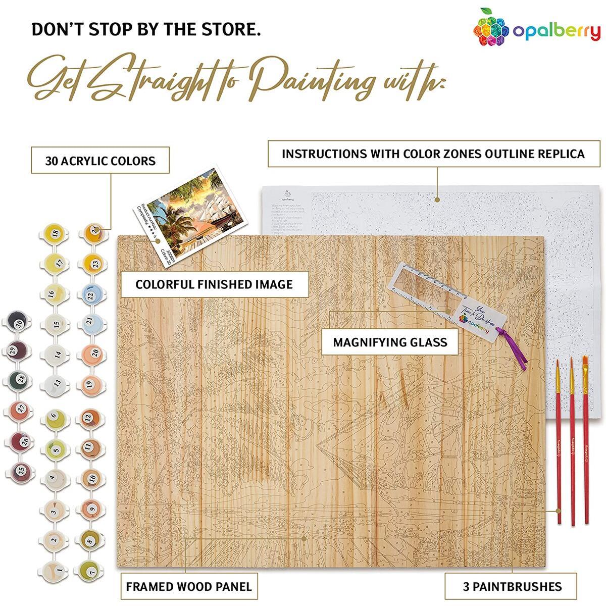 Painting Kits For Adults Cashback - RebateKey