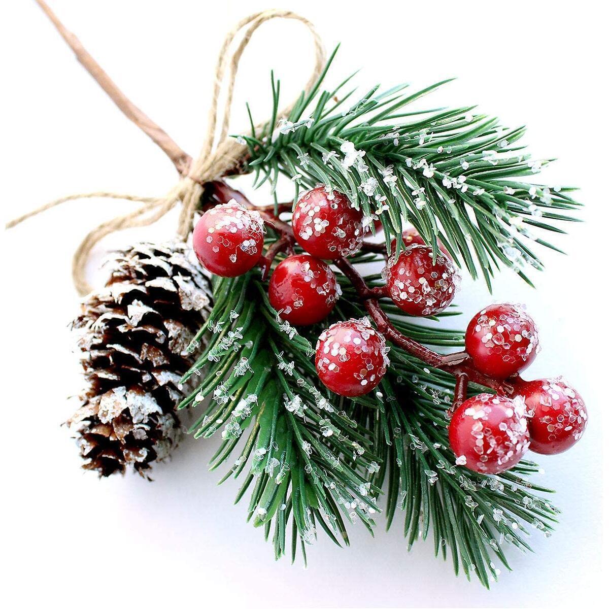 Red Berry Stems Pine Branches 1 Cashback - RebateKey