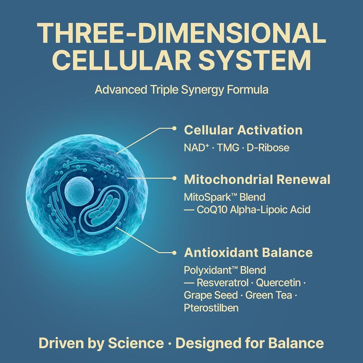 Liposomal Nac Cashback Rebate - RebateKey