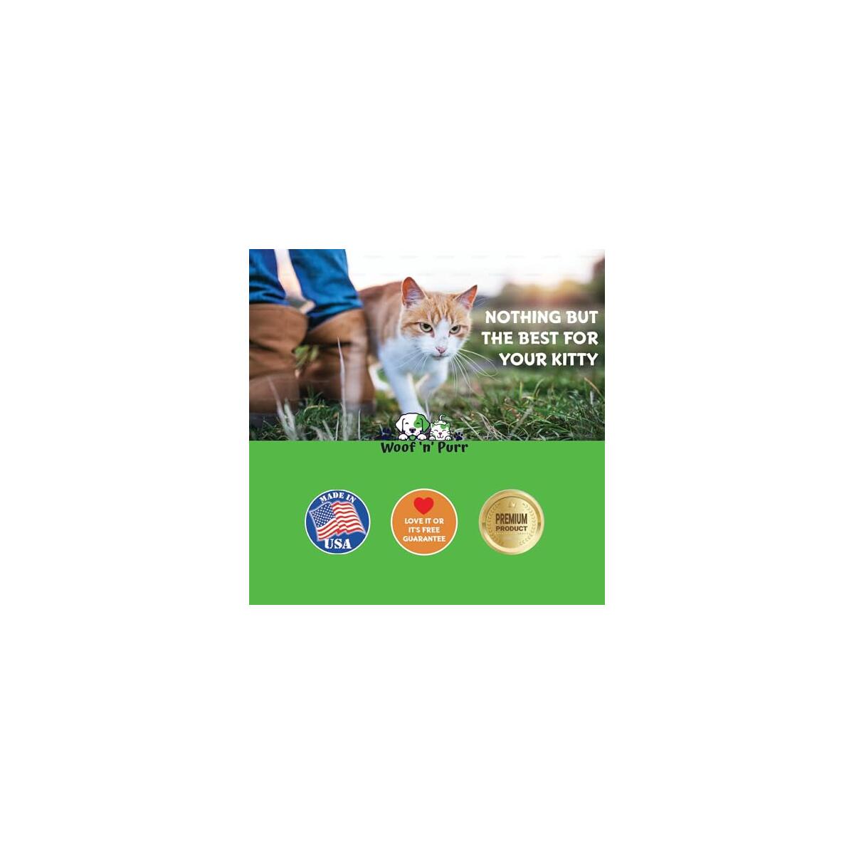 Natural Cat Ear Infection Treatment 1 Cashback Rebate - RebateKey